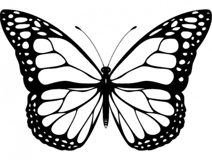 Скачать dxf - Бабочка рисунок контур шаблон бабочки бабочки для вырезания