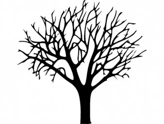 Скачать dxf - Рисунок дерева без листьев дерево без листьев эскиз
