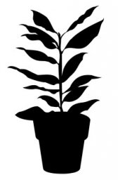Скачать dxf - Силуэт домашнего растения растение растения силуэты цветы и