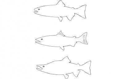 Скачать dxf - Трафарет рыбы для вырезания контур акулы для вырезания