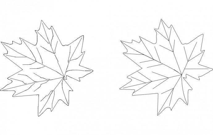 Скачать dxf - Кленовые листья раскраска кленовый лист шаблон кленового листа