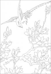 Раскраски рисунки трафареты цветы птицы цветы раскраска цветочный рисунок