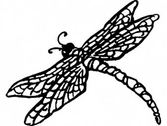 Скачать dxf - Бабочка разукрашка трафарет бабочка раскраска бабочка рисунок стрекоза