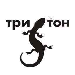 Силуэт ящерицы тритон логотип стилизованная ящерица ящерица саламандра силуэт