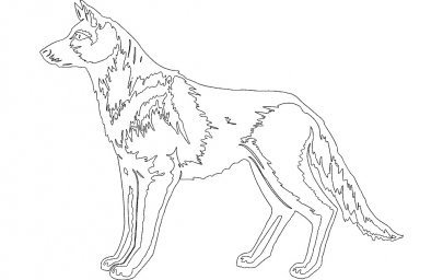 Скачать dxf - Рисунок волка карандашом для детей волк набросок волк
