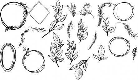 Татуировки растения эскиз ветки с листьями в цвете узоры рисунки