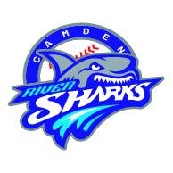 Спортивные логотипы логотипы спортивных команд акула логотип логотип плавание лого игр 4421