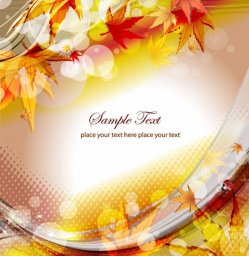 Осенний фон для сертификата осенний баннер осенние листья осень листья фон 3972