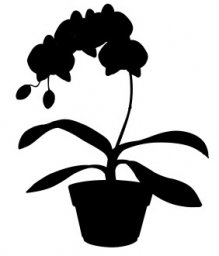Скачать dxf - Силуэт растения в горшке силуэт домашнего растения комнатное