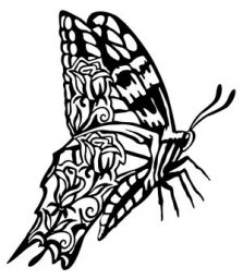 Скачать dxf - Бабочка трафарет бабочка простым карандашом эскиз бабочки бабочка