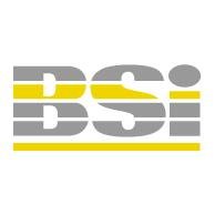 Британский институт стандартов британский институт стандартов bsi bss логотип логотип европейские 4