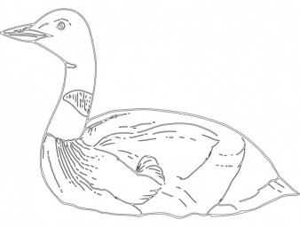Скачать dxf - Гусь разукрашка поэтапное рисование гуся раскраска утка дикий