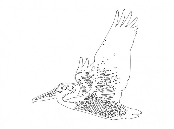 Скачать dxf - Раскраски птицы с узорами арлы птицы коршун птица