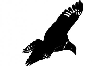 Скачать dxf - Силуэт орла орел черный рисунок силуэт птица силуэт