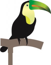 Тукан тропические птицы силуэт круглый тукан птица тукан тукан мультяшный