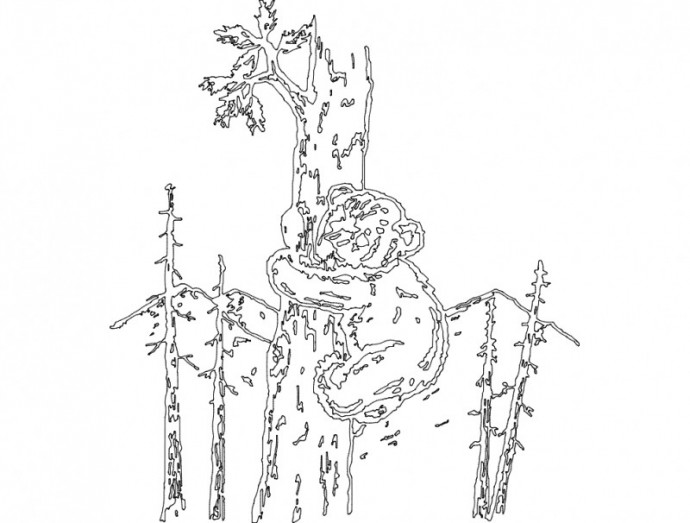 Скачать dxf - Иллюстрация раскраска животные в лесу ленгрен рисунки мишка