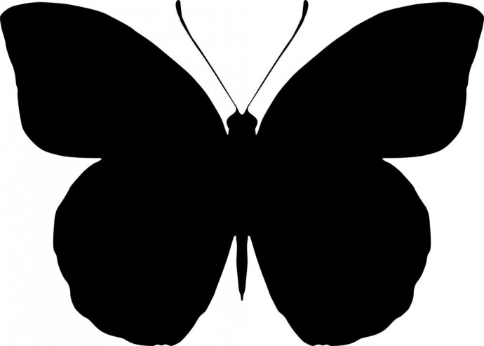 Бабочки силуэт бабочка силуэт бабочки монарх шаблон бабочки бабочка черная