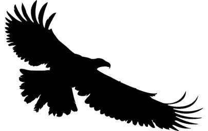 Скачать dxf - Птица силуэт орел силуэт орел вектор орлан силуэт