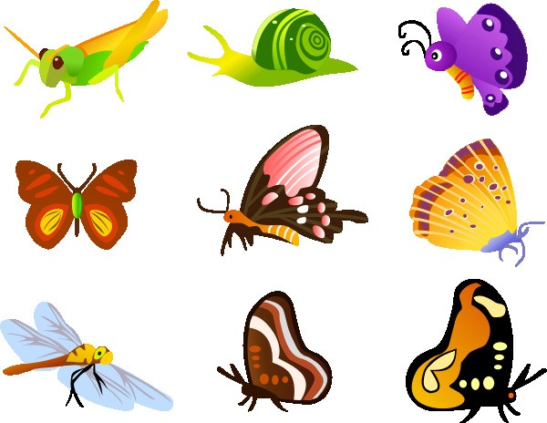 Бабочки векторные вектор бабочка бабочка клипарт бабочки насекомые бабочки
