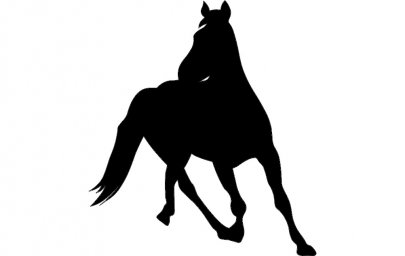 Скачать dxf - Всадник силуэт выездка силуэт лошади силуэт силуэт лошадь