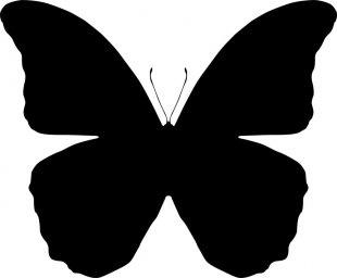 Бабочка силуэт бабочки трафарет бабочки контур бабочки шаблон бабочки