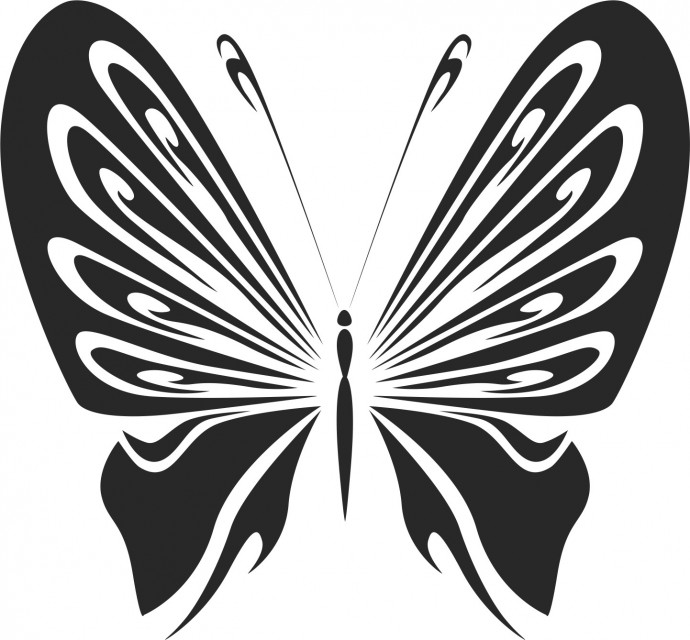 Бабочка бабочка трафарет бабочки векторные шаблон бабочки бабочка мотылек