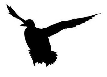 Скачать dxf - Силуэт птица силуэт животные силуэты силуэт стерх черный