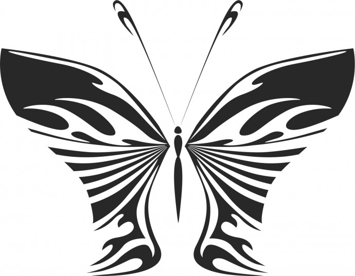 Бабочки векторные трафарет бабочки бабочка бабочка рисунок бабочка вектор