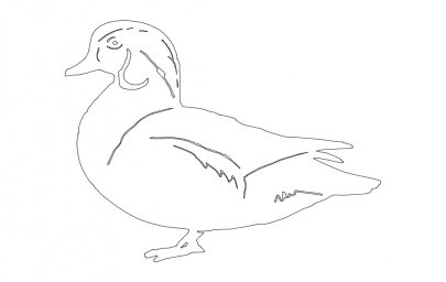 Скачать dxf - Утка контурный рисунок утка легкий рисунок рисунок утки