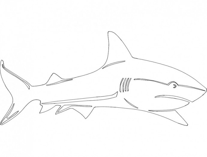 Скачать dxf - Раскраска акула акула раскраска для детей акула карандашом