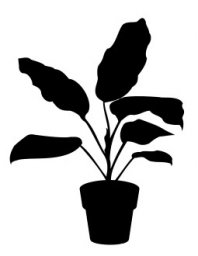 Скачать dxf - Силуэт домашнего растения комнатное растение рисунок силуэт растение