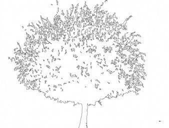 Скачать dxf - Вин ажное дерево с листьями рисунок дерево эскиз