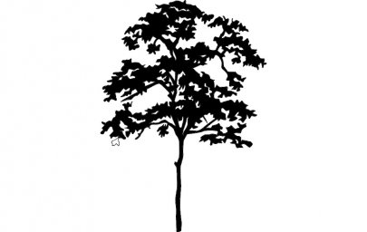 Скачать dxf - Дерево силуэт дерево сосны на белом фоне чёрно-белое