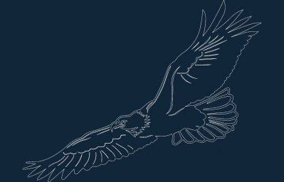 Скачать dxf - Изображения орла для гравировки иллюстрация птичка рисунок для