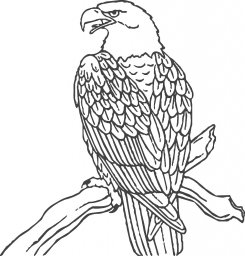Скачать dxf - Раскраски птицы раскраски птицы орёл для детей 06.июл