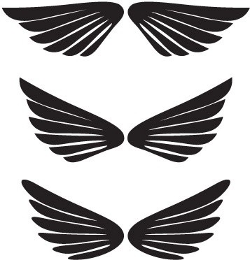 Векторные крылья крылья логотип крылья крылья эмблема силуэт крыльев 5160