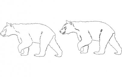 Скачать dxf - Рисунок медведя карандашом для детей медведь карандашом рисунок