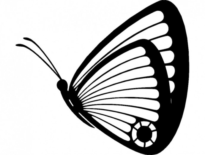 Скачать dxf - Бабочка вектор мотылек иконка шаблон бабочки бабочка butterfly