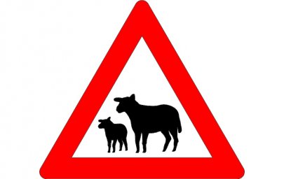Скачать dxf - Дорожные знаки крупнорогатый скот предупреждающие знаки дорожный знак