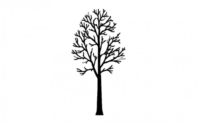 Скачать dxf - Эскиз дерева без листьев силуэт дерева без листьев