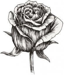 Рисунок розы рисунки цветов бутон эскиз роза для выжигания черно