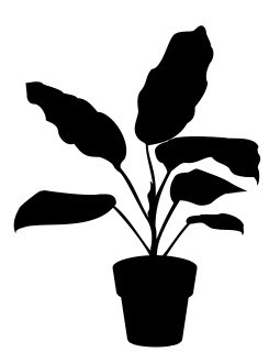 Скачать dxf - Силуэт домашнего растения комнатное растение рисунок силуэт растение