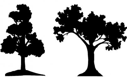 Скачать dxf - Силуэт дерева дуб силуэты деревьев силуэт дерева рисунок