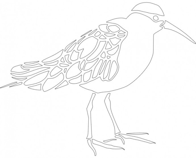 Скачать dxf - Поэтапное рисование грача для детей птица рисунок раскраски