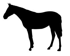 Скачать dxf - Лошадь силуэт силуэт лошади сбоку лошадь лошадь контур