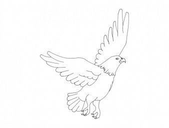 Скачать dxf - Орел раскраска для детей рисуем голубя орел раскраска